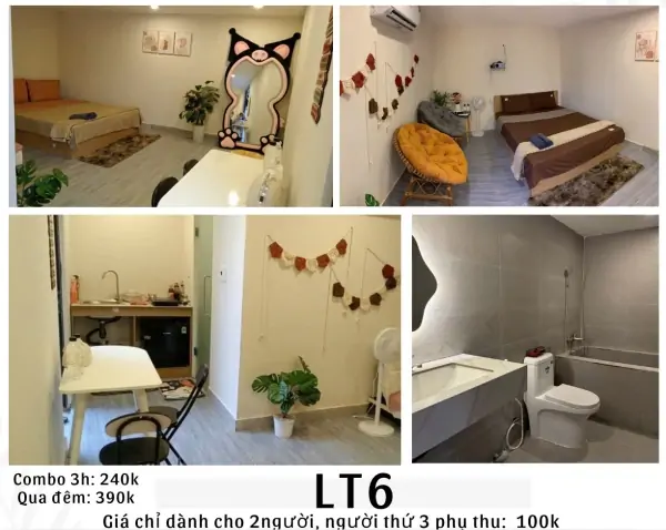 LT6