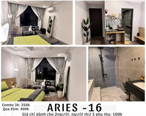 ARIES 16