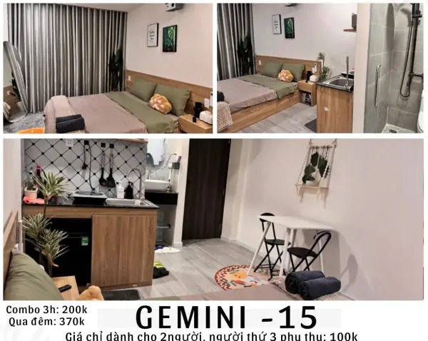 GEMINI 15
