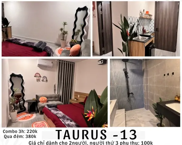 TAURUS 13