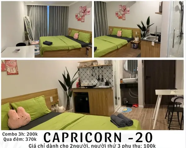 capricorn-20