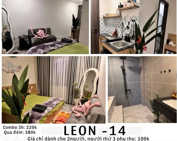 LEON 14