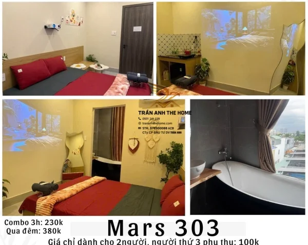 mars-303